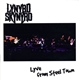 Lynyrd Skynyrd - Lyve From Steel Town