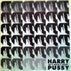 Harry Pussy - Let's Build A Pussy